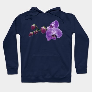 Purple Orchids With Buds Hoodie